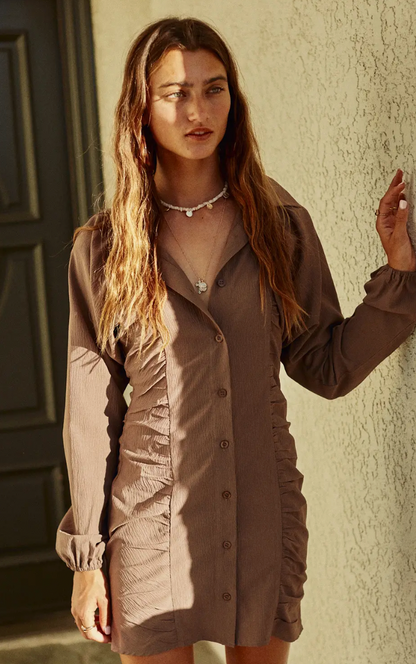 Ruched Collared Mini Dress